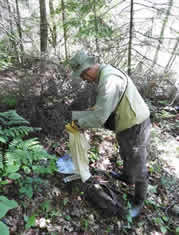 adrian wydeven trapping small mammals (1)